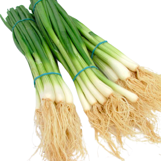 spring onions delivered fresh daily across london from kirbys produce