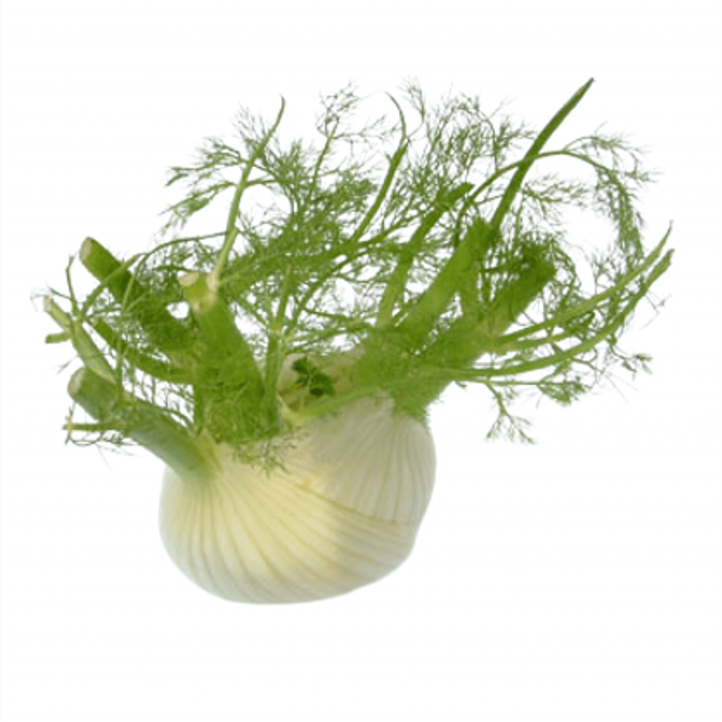 kirbys fresh produce deliveries across london daily fennel