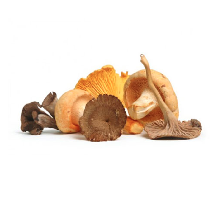 wild mushrooms delivered across london daily fresh kirbys produce